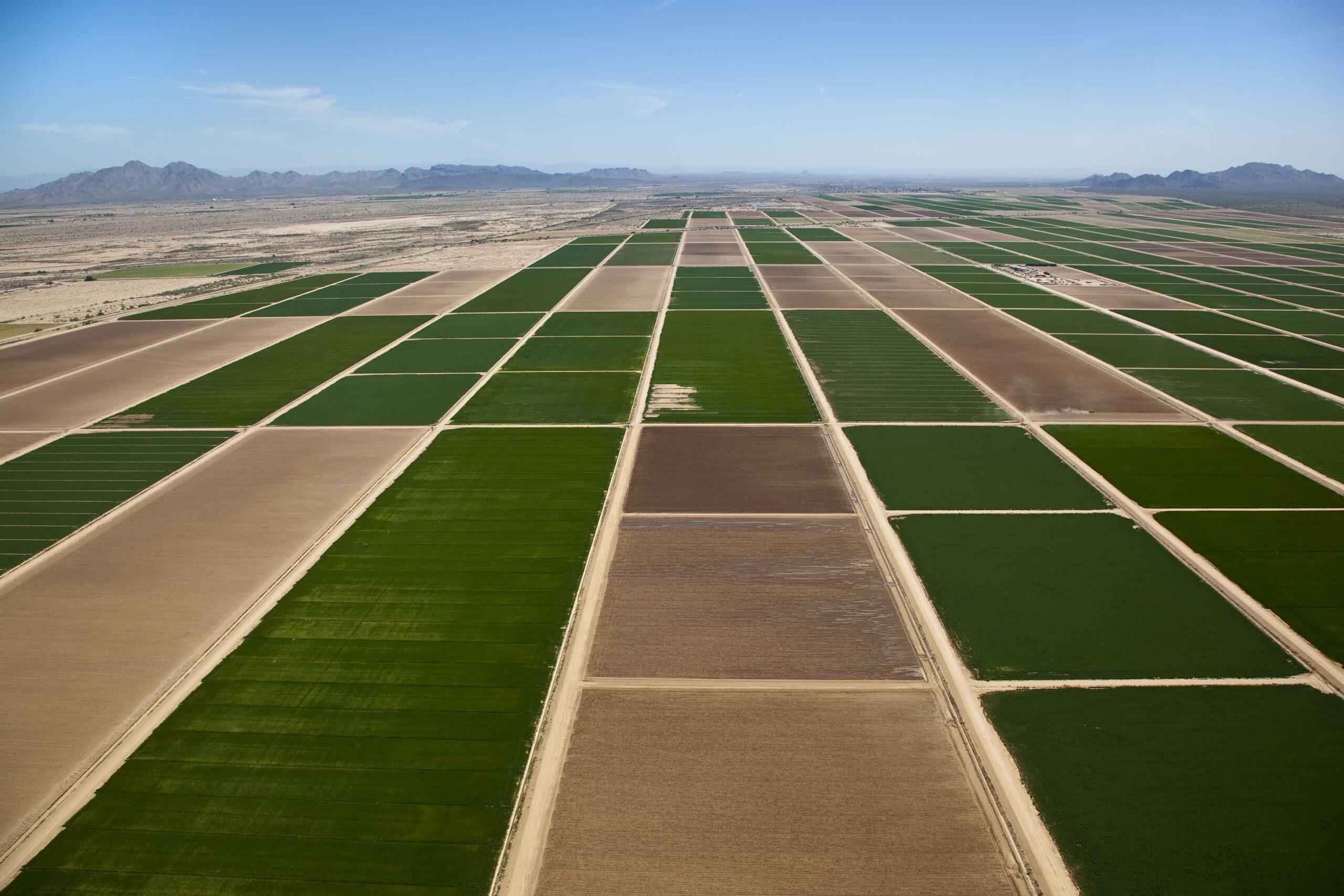 aerial photo of green and tan crop fields